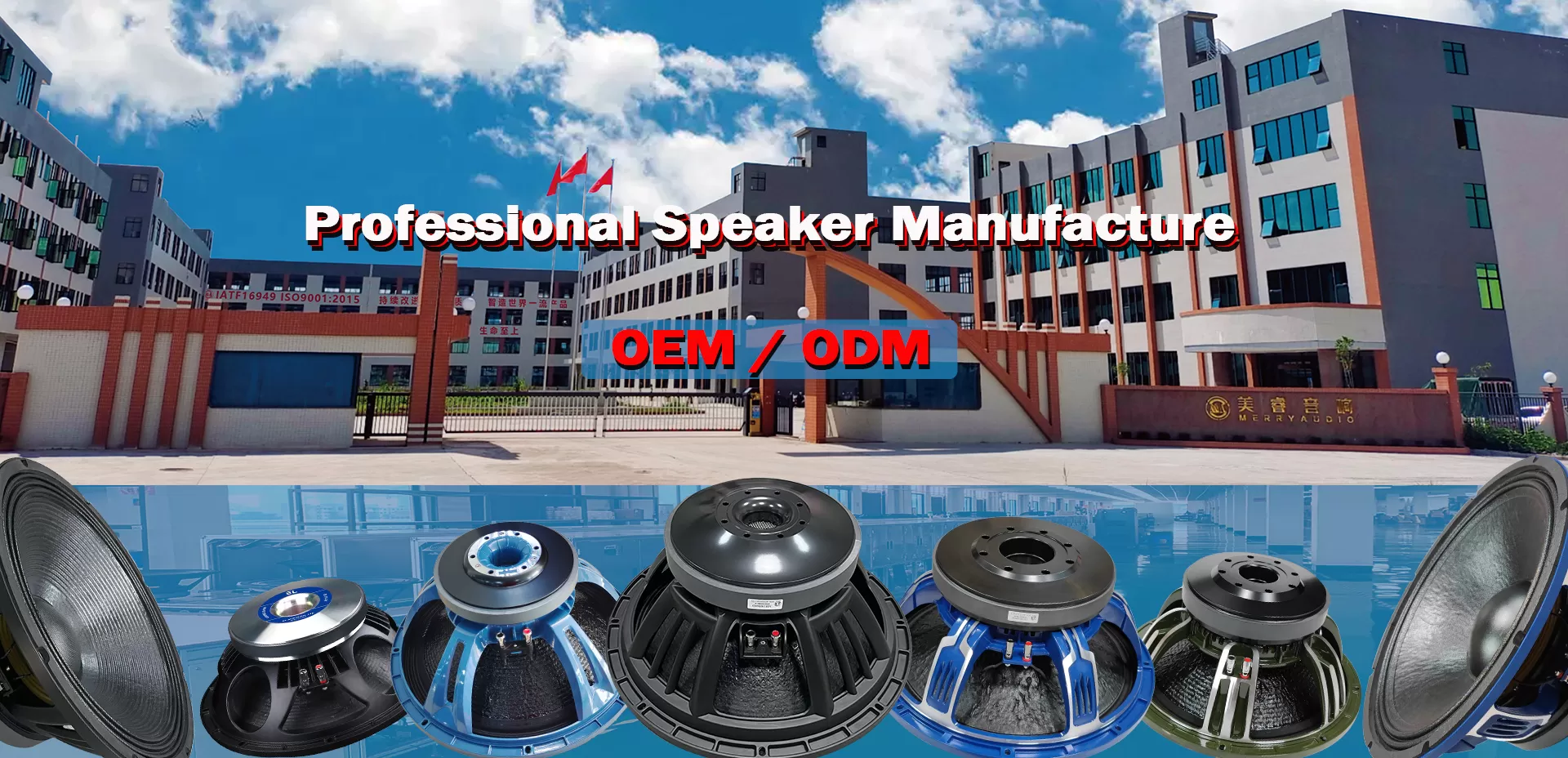 professional speaker