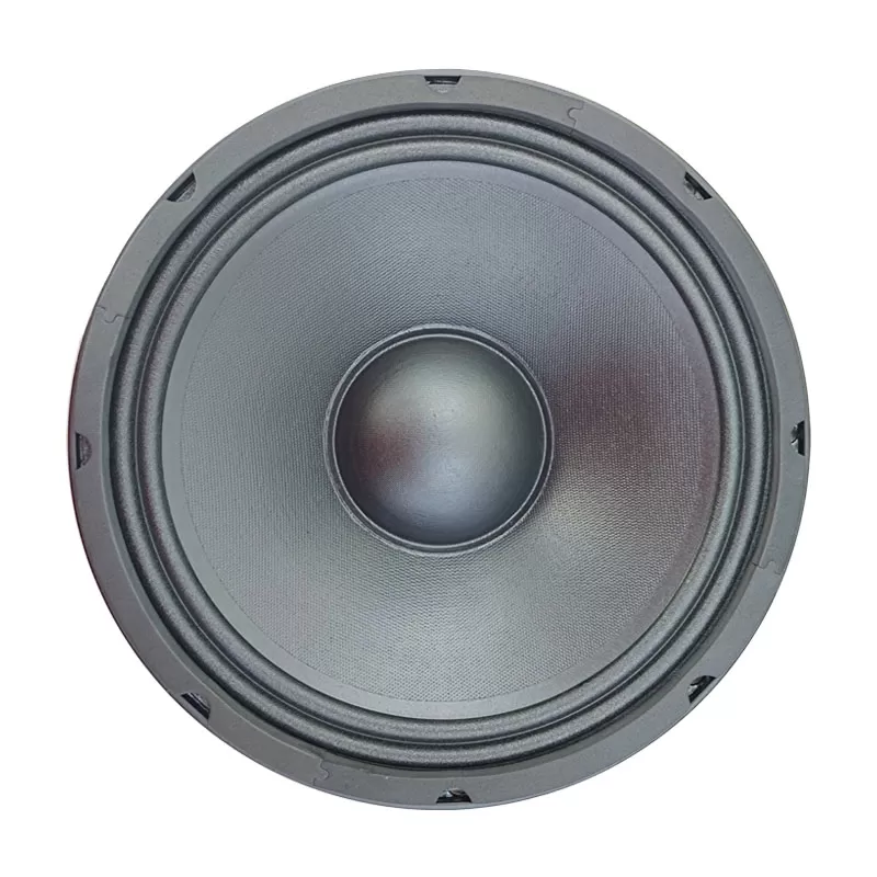 MR10H06D 10 inch woofer