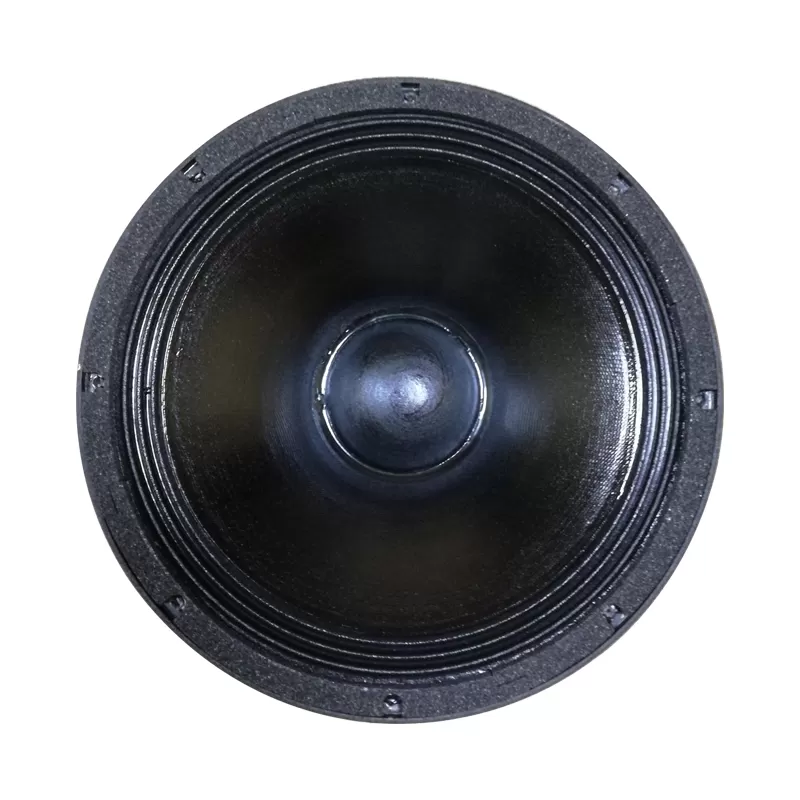 MR12H75J 12 inch speaker
