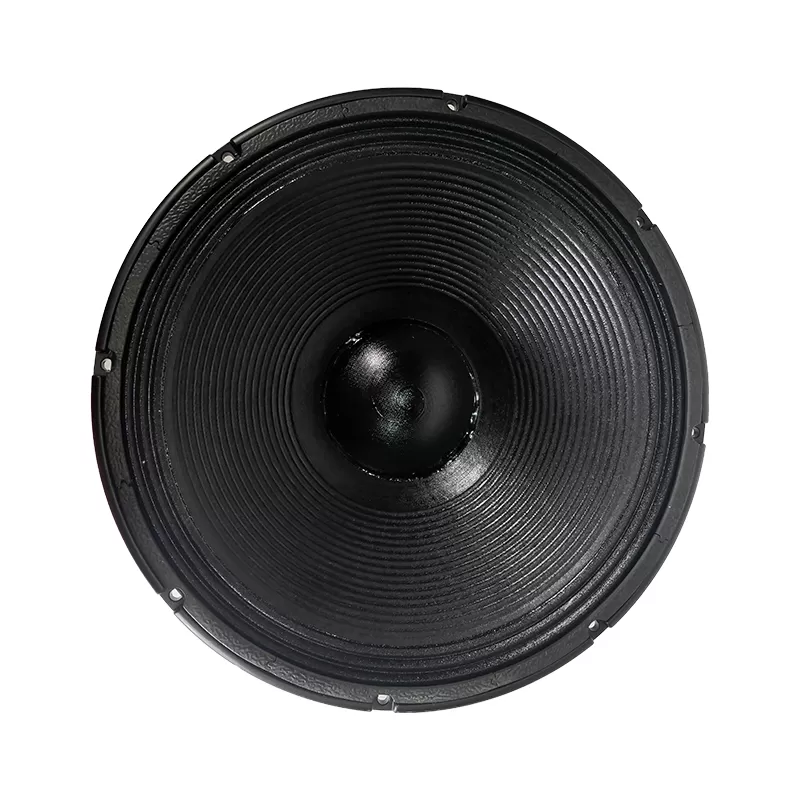 MR18-5D professional 18 inch loudspeaker