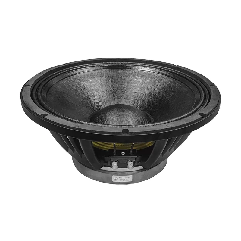 MR15H16D 15 inch audio speaker