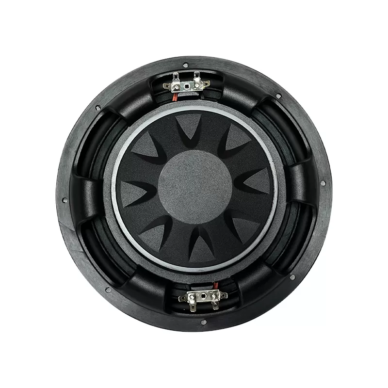 MR-10B 10 inch car speaker