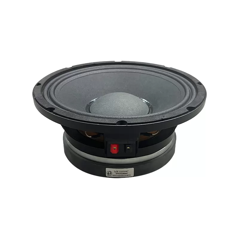 MR10H99C audio speaker 10 inchwoofer