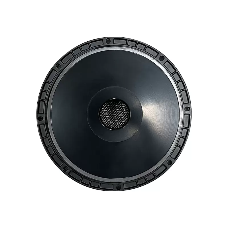 MR10H99C audio speaker 10 inchwoofer