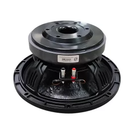 TS10H02A audio speaker 10 inch woofer