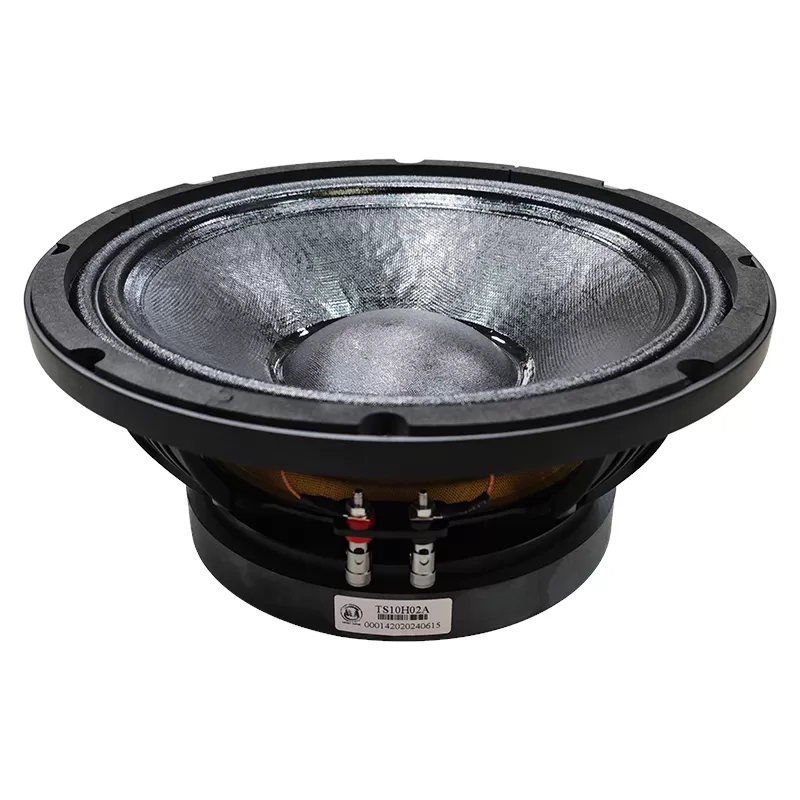 TS10H02A audio speaker 10 inch woofer