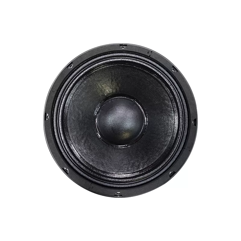 TS10H02A audio speaker 10 inch woofer