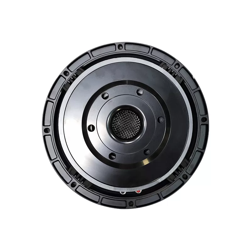 TS10H02A audio speaker 10 inch woofer