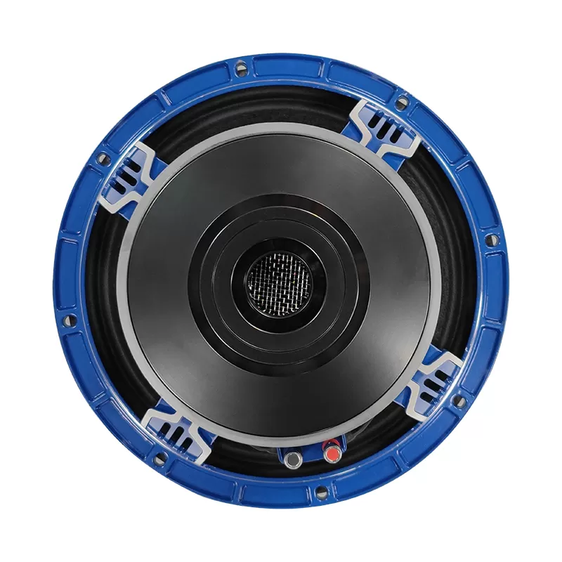 TS10H156C New model 10 inch speaker