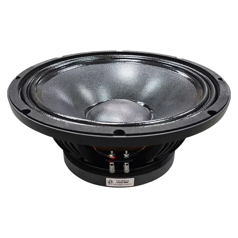 TS12H02A audio speaker 12 inch woofer