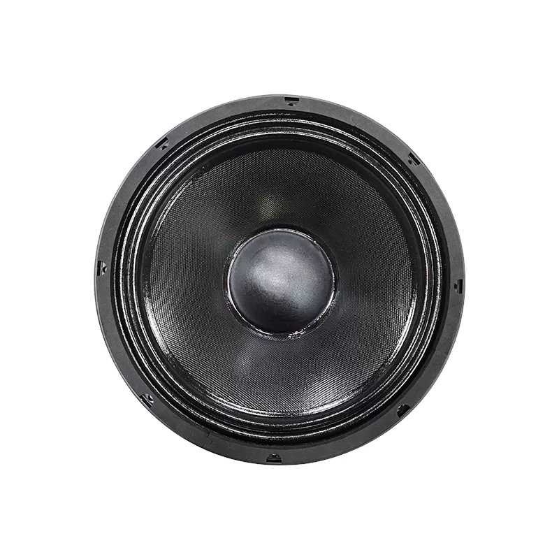 TS12H02A audio speaker 12 inch woofer