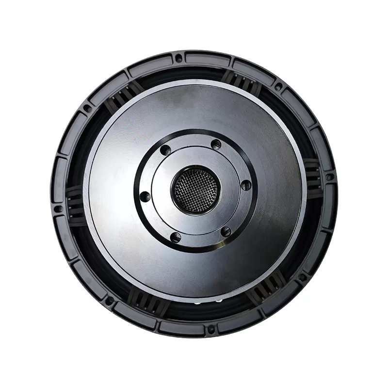 TS12H02A audio speaker 12 inch woofer