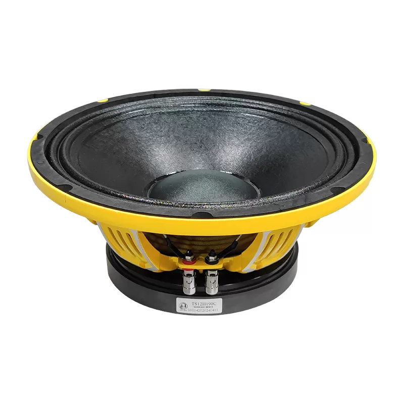 TS12H190C audio speaker 12 inch woofer