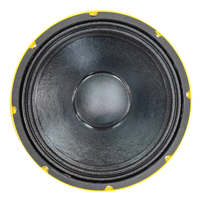 TS12H190C audio speaker 12 inch woofer