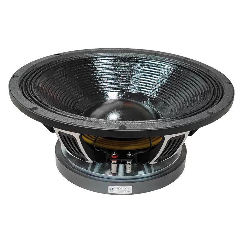 MR15H13E 15" full range speaker driver