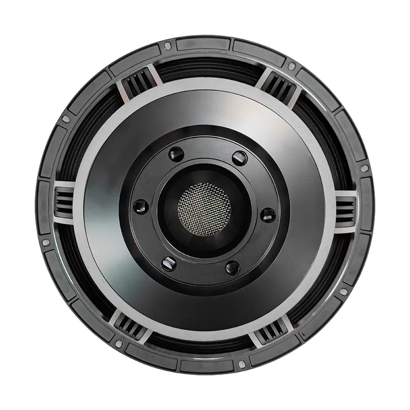 MR15H13E 15" full range speaker driver