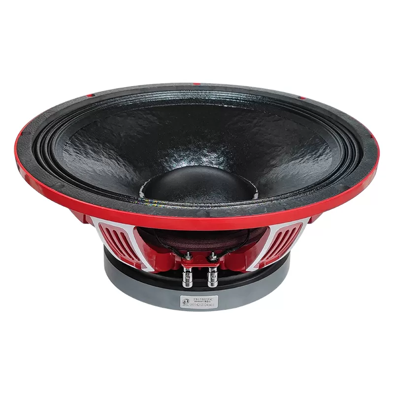 TS15H220C 15'' high power speakers driver