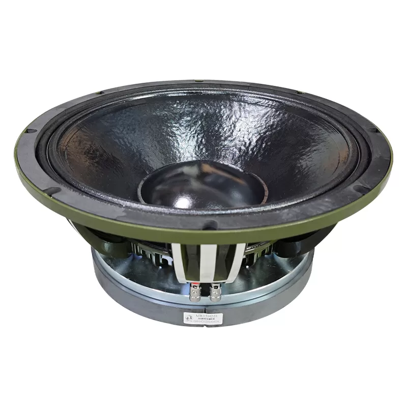 MR15H22E 15 inch professional pa speaker