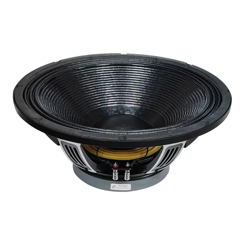 TS18H220C 18 inch ferrite ring speaker bass