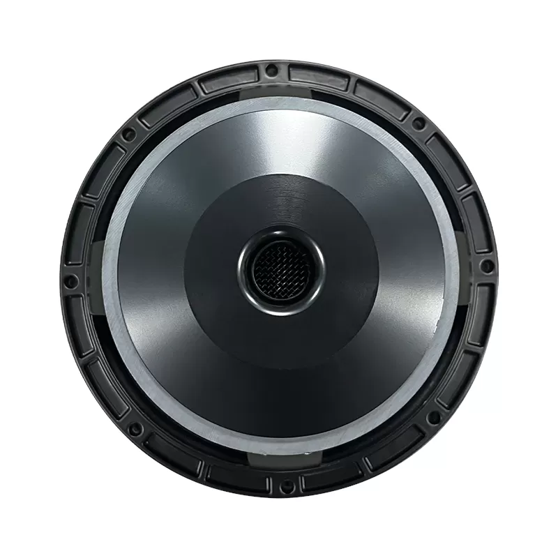 MR10H58D 10 inch woofer 2 *magnet speaker