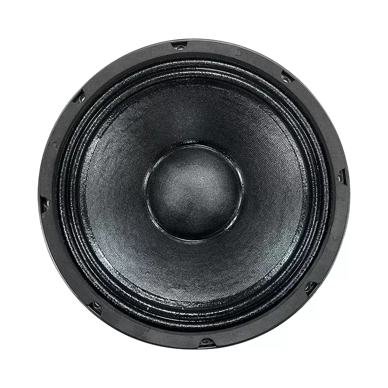 MR10H58D 10 inch woofer 2 *magnet speaker