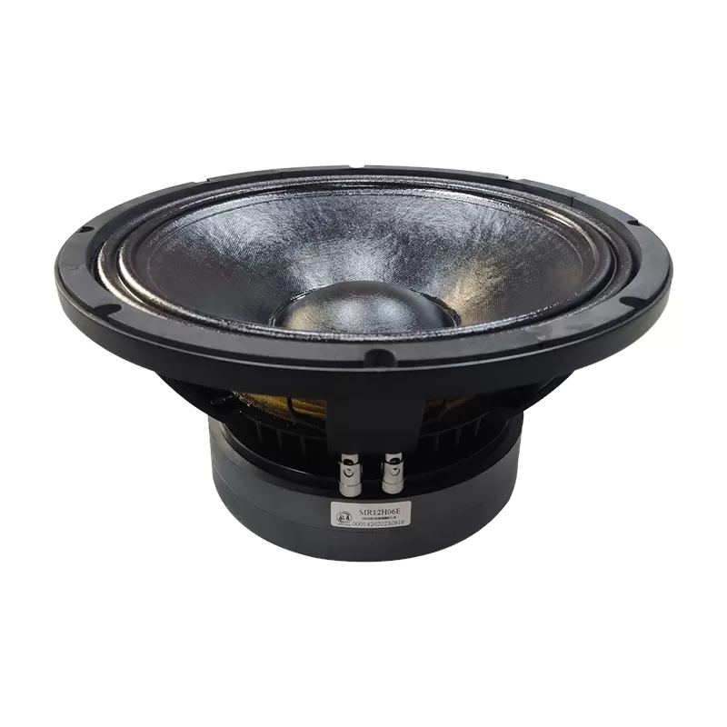 MR12H06E double magnet 12 inch speaker