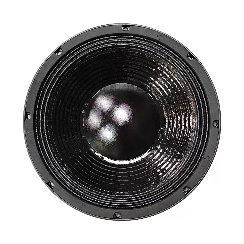 MR12H76E audio 12 inch loudspeaker