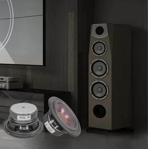 Home audio speakers