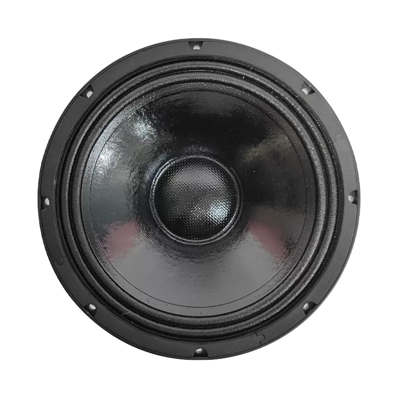 MR10N65M neo magnet 10 inch woofer