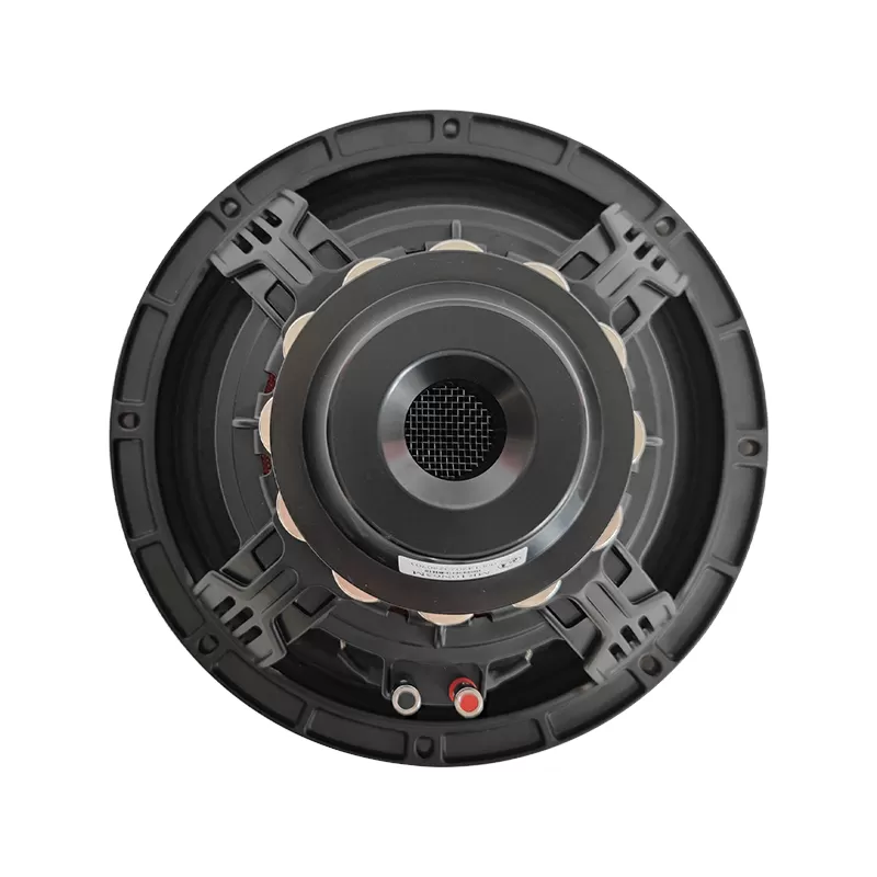 MR10N65M neo magnet 10 inch woofer