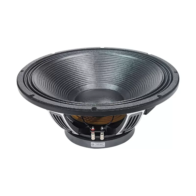 TS18H08A-8 Pro speaker 18 inch loudspeaker