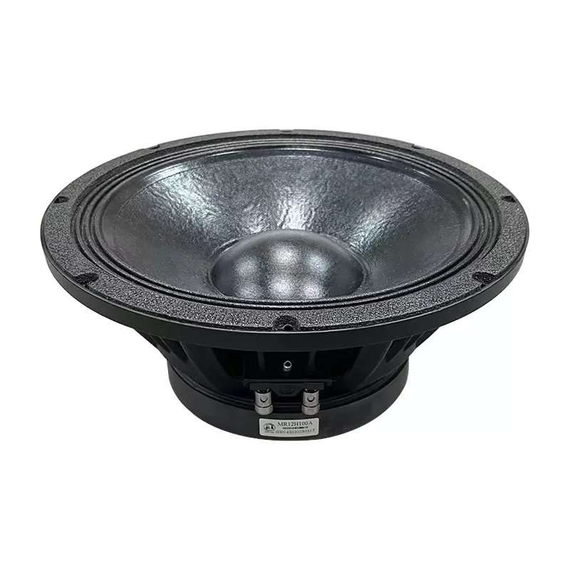 MR12H100A audio speaker 12 inch woofer