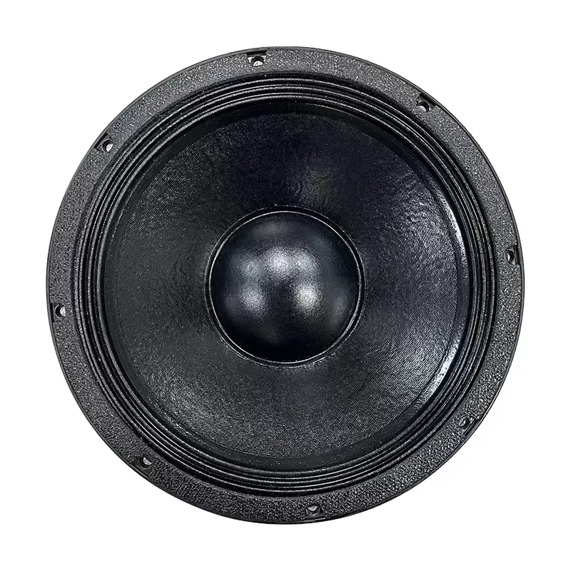 MR12H100A audio speaker 12 inch woofer