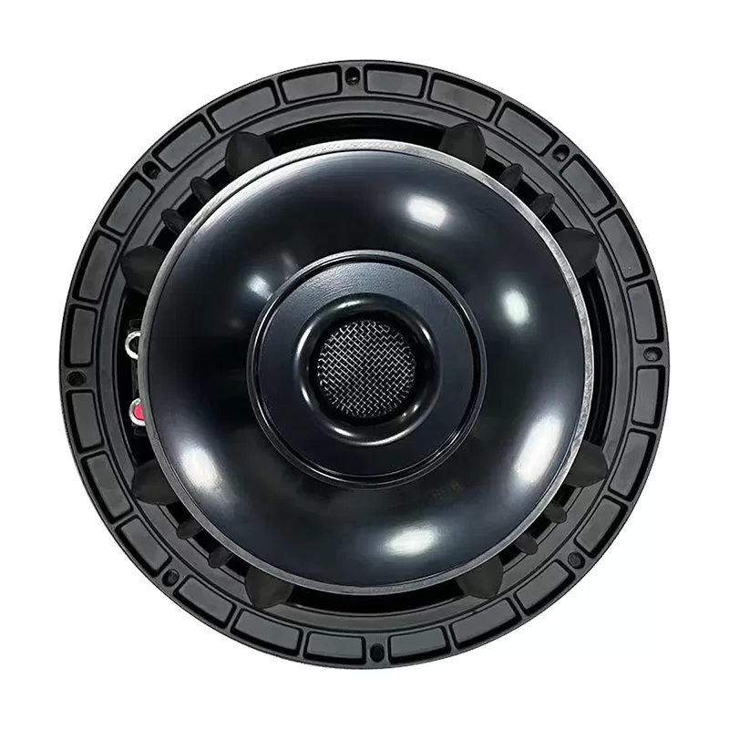 MR12H100A audio speaker 12 inch woofer